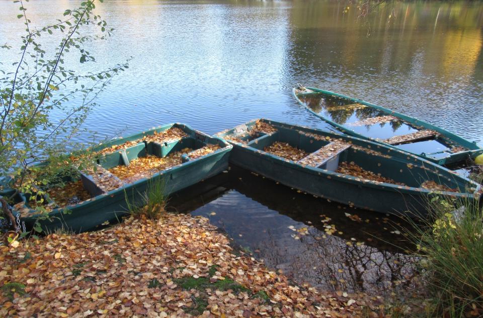 La naissance, la mort : deux nécessités évolutives