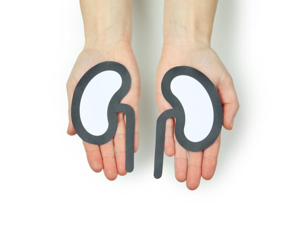 Journée mondiale du rein à Fleur de Lys