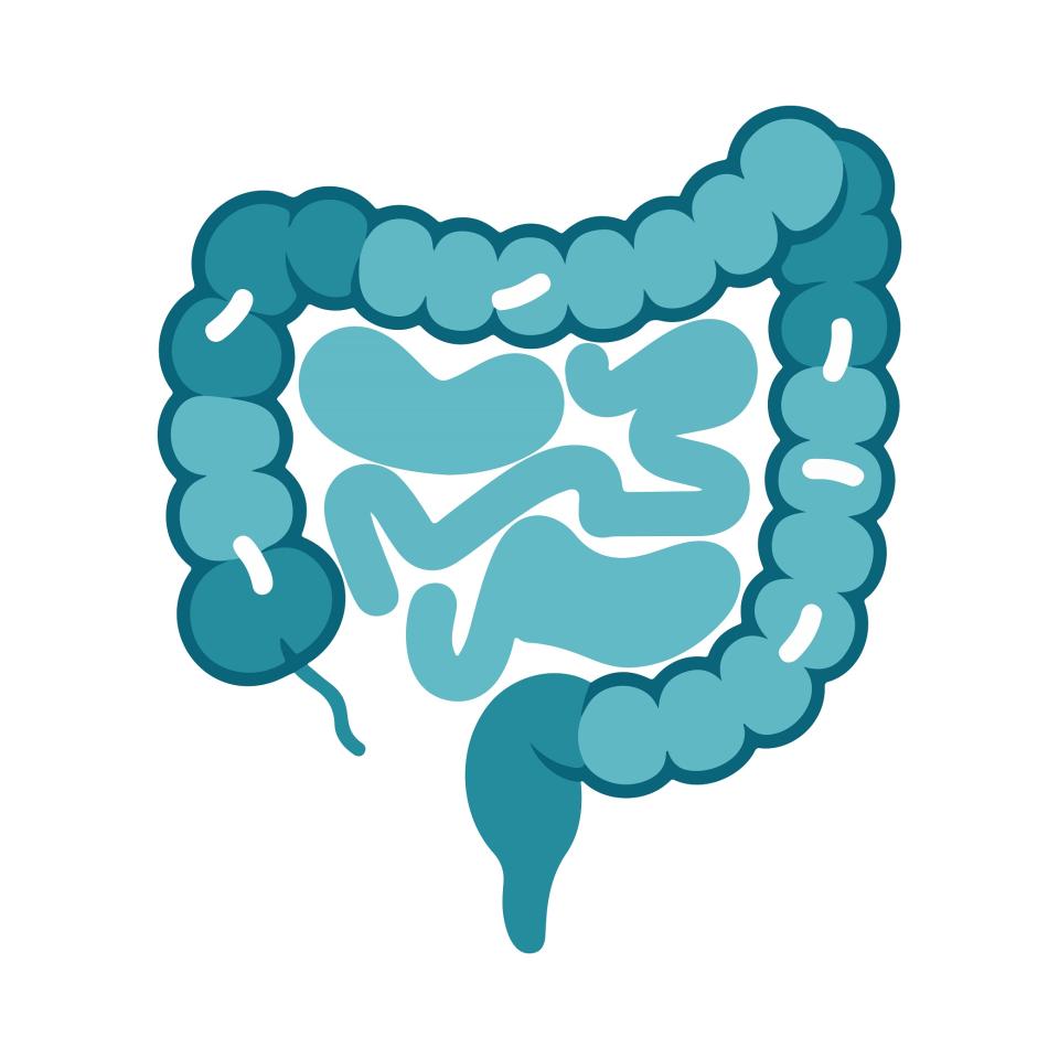 Côlon : les clés de la prévention (Mars Bleu sur le site Kennedy à Mons)