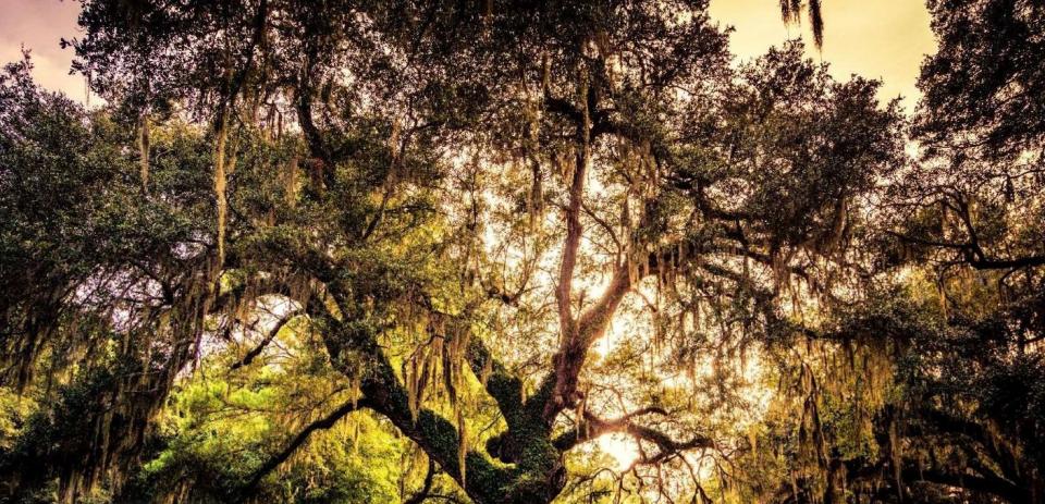 Conférence en éthique - "L'imminence de la mort"