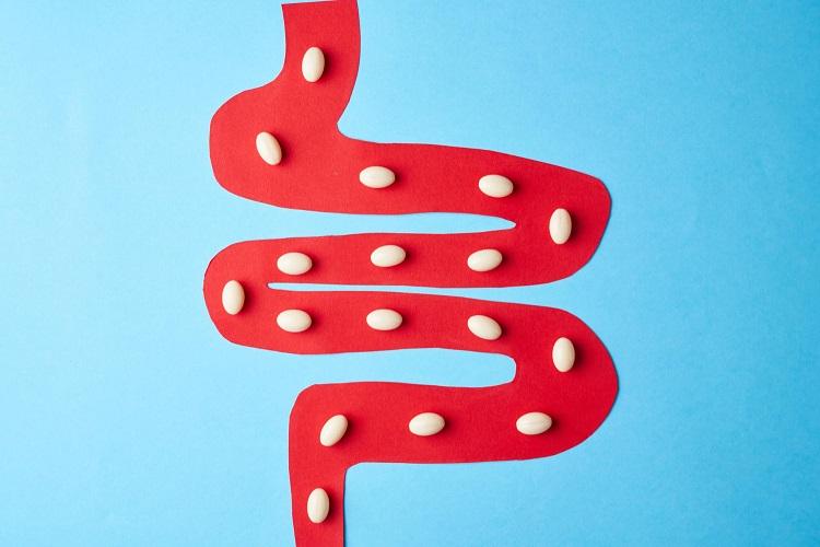 MICI (Crohn, Rectolite) - Patient day