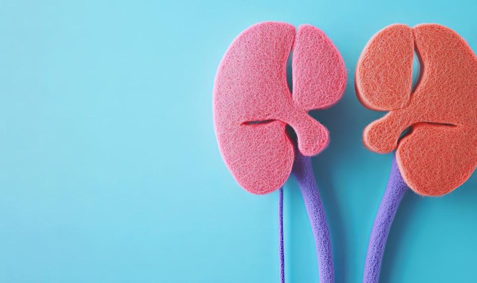 Journée mondiale du rein à Jolimont