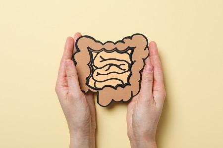 Lobbes - Pour une santé digestive optimale